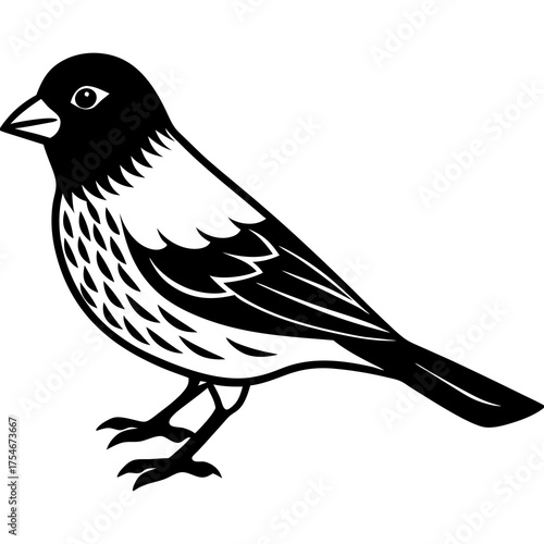 Canary Vector Illustration – Bright Yellow Bird Graphic Design for Digital Use