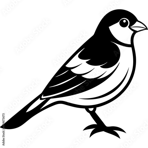 Canary Vector Illustration – Bright Yellow Bird Graphic Design for Digital Use