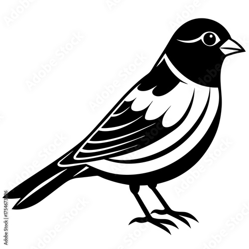 Canary Vector Illustration – Bright Yellow Bird Graphic Design for Digital Use