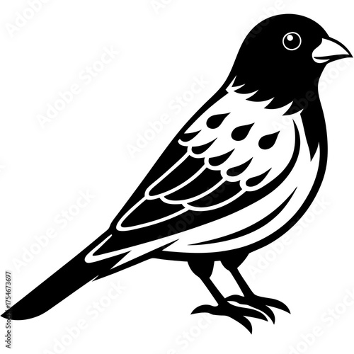 Canary Vector Illustration – Bright Yellow Bird Graphic Design for Digital Use