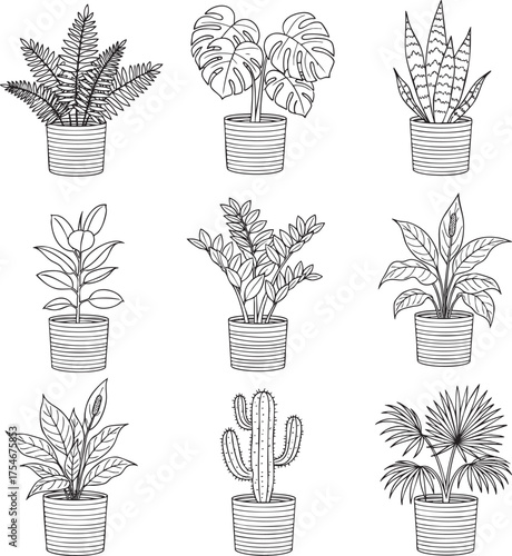 A collection of nine popular houseplants in pots presented in a black and white handdrawn sketch style.