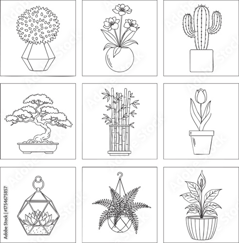 A collection of nine diverse houseplant illustrations in a simple black and white line art style.