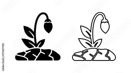 Wilted plant in cracked earth with transparent background