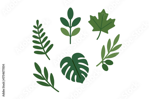 Stylized green leaves assortment featuring tropical monstera, maple, fern, and olive branches