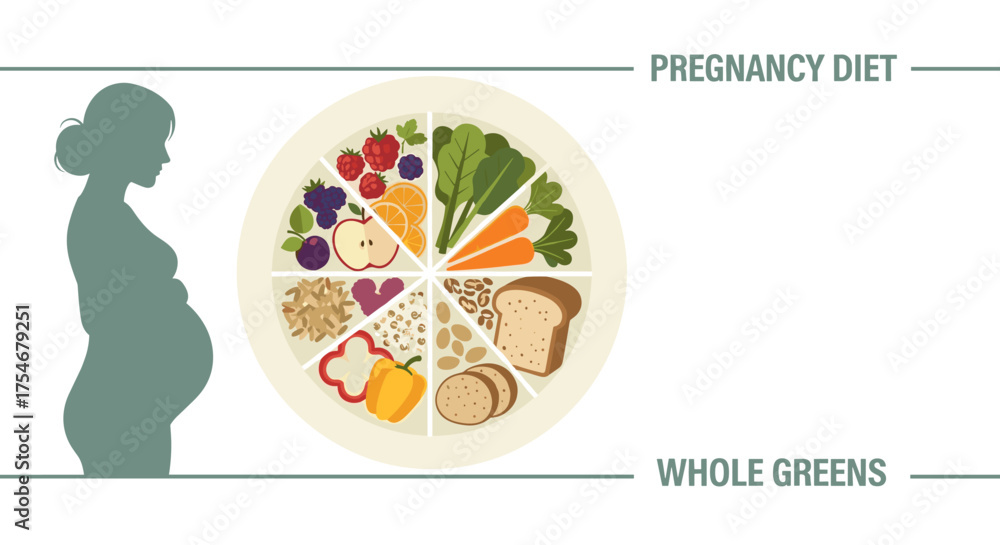 Fototapeta premium This illustration depicts a pregnant woman's silhouette alongside a balanced food plate, emphasizing essential nutrition for maternal and fetal health.
