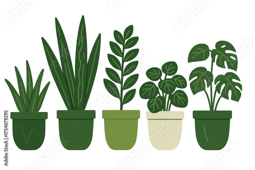 Assortment of popular green indoor plants in decorative ceramic pots for home decor