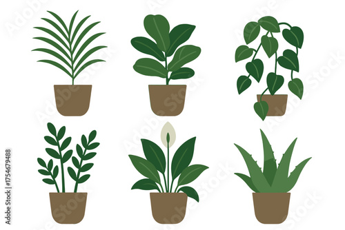 Collection of six potted indoor plants featuring tropical foliage and succulents
