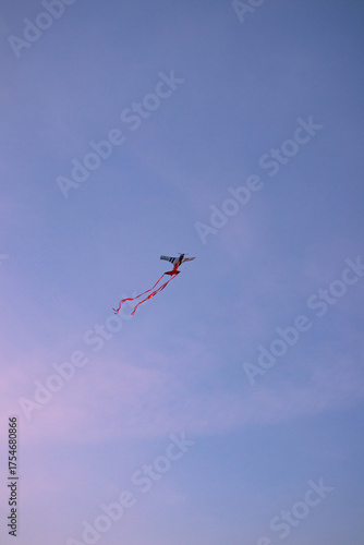 Kite 