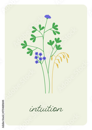 Floral natural card design. Field wildflowers, meadow herbs, plants on botani...