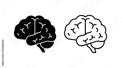 Brain anatomy outline with transparent background