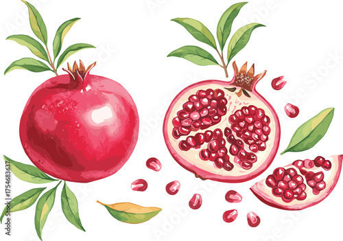 ruit illustration, whole and halved pomegranates, juicy red seeds, fresh food