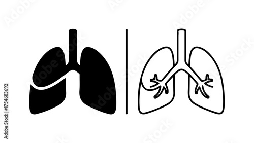 Human lungs anatomy outline with transparent background