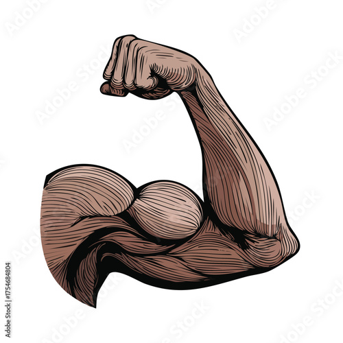 Illustration of a powerfully muscled human arm flexing its bicep and clenched fist against a white background