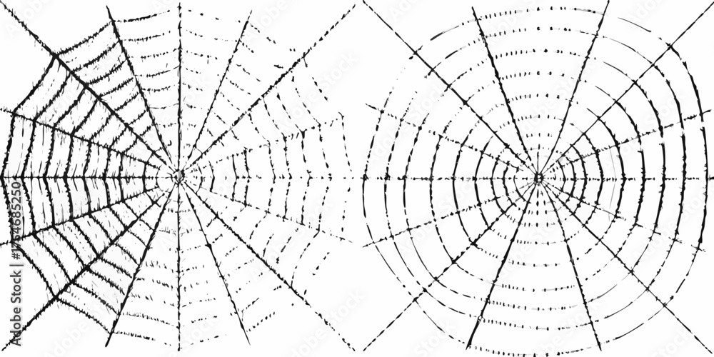 Obraz premium Two abstract black and white spiderwebs with a textured artistic and graphic design style