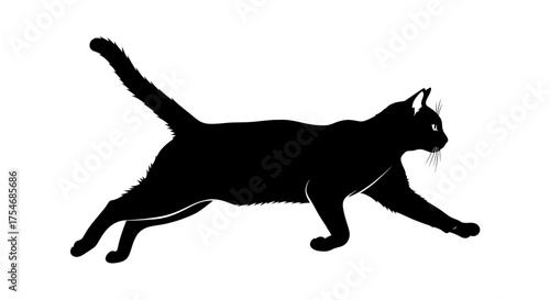 Black cat silhouette running with tail up