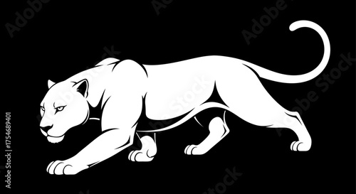 White panther sneaking on the prowl