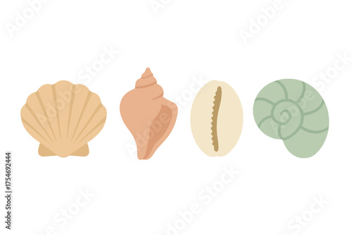 Collection of natural seashells including scallop conch cowrie and spiral shapes in soft pastel tones