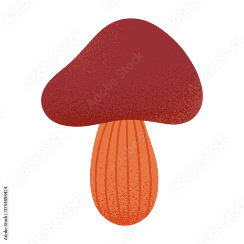 Mushroom vector isolated.Forest seasonal food.Hand drawn flat graphic illustration for prints,flyers,banners,covers,branding design,clipart.
