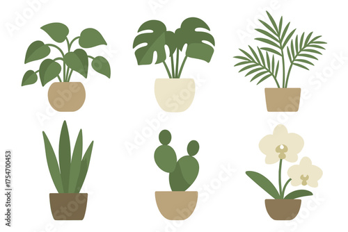 Collection of popular indoor potted plants including succulents palm and flowering orchid