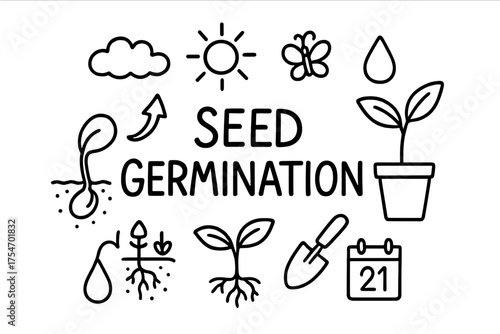 Seed Germination Doodle. Seed Germination. Hand-drawn doodle illustration of Seed Germination. seed, sprout,