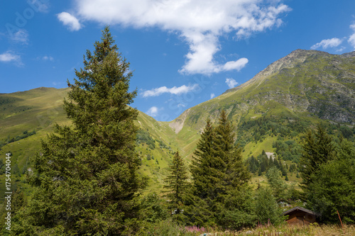 This landscape photo was taken in Europe, France, Auvergne Rhone Alpes, Haute Savoie, in summer. We can see the fir trees, under the Sun.