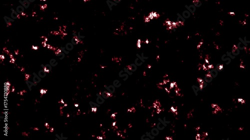 Red and White Abstract Flickering Digital Noise on Black Background