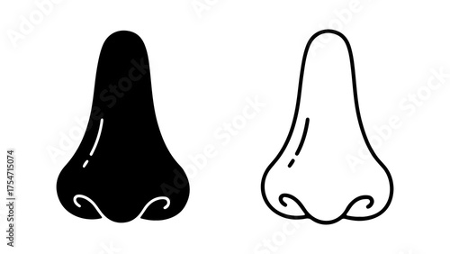 Human nose outline with transparent background
