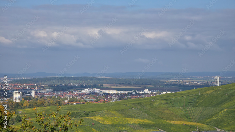 Fototapeta premium Germany Stuttgart Rotenberg vineyard nature landscape view to fellbacher herbst autumn festival with ferris wheel and houses panorama view