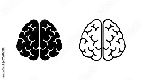 Brain anatomy outline and solid with transparent background