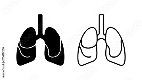 Human lungs anatomy with transparent background