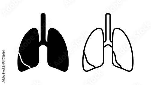 Human lungs outline and solid with transparent background