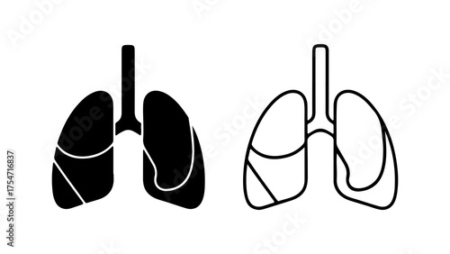 Human lungs anatomy with transparent background