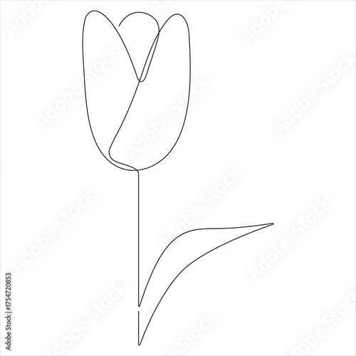 Continuous one line drawing of tulip flower outline design vector illustration