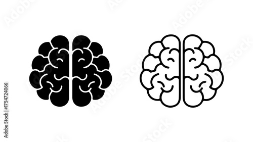 Brain anatomy outline with transparent background