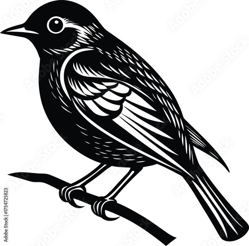 Elegant Black and White Bird Illustration Perched on a Branch Graphic Design Element for Nature Lovers and Ornithology Enthusiasts