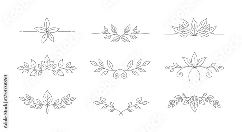 Floral leaf branch divider design elements vector illustration for decoration and ornamental use drawing