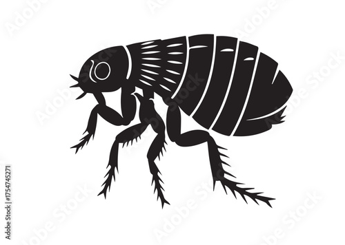 Flea icon, Flea solid vector
