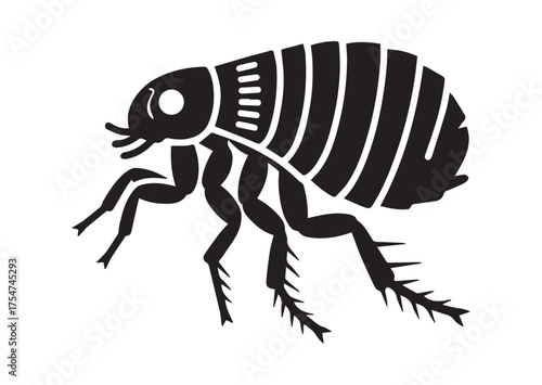 Flea icon, Flea solid vector
