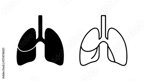 Human lungs outline and solid with transparent background