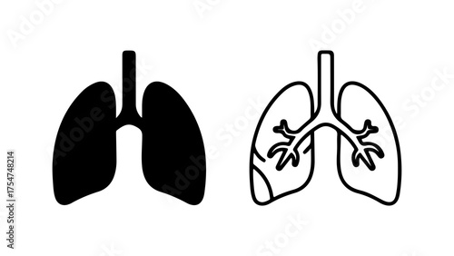 Human lungs anatomy outline with transparent background