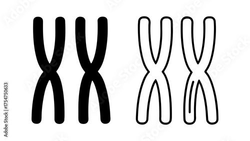 Female chromosomes xx with transparent background