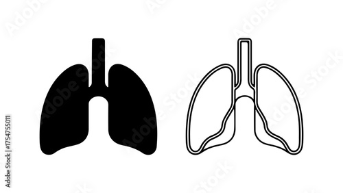 Human lungs outline and solid with transparent background