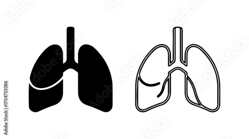 Human lungs outline and solid with transparent background