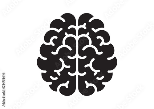 Brain icon, Brain solid vector