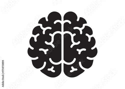 Brain icon, Brain solid vector