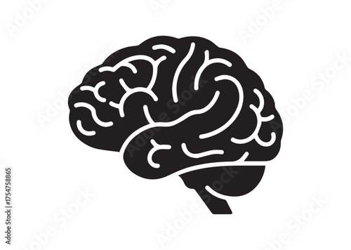 Brain icon, Brain solid vector