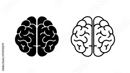 Brain anatomy outline and solid with transparent background