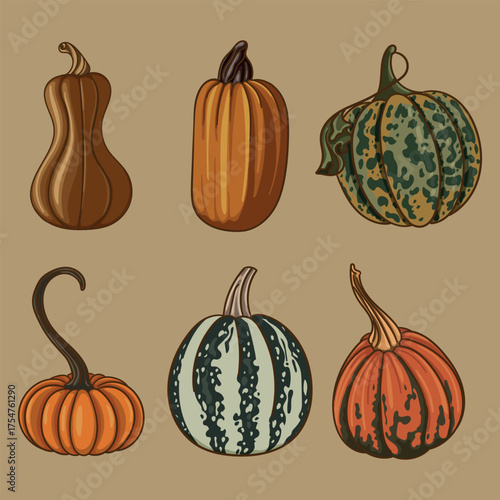 Autumn Harvest Pumpkins Collection