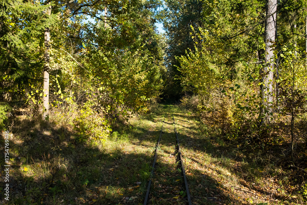 Obraz premium Narrow-gauge railway in the Bialowieza Forest, Poland