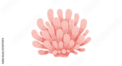 Coral reef ecosystem diversity and marine life exploration.